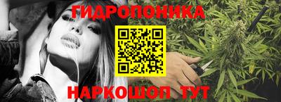 прущие грибы Пушкино